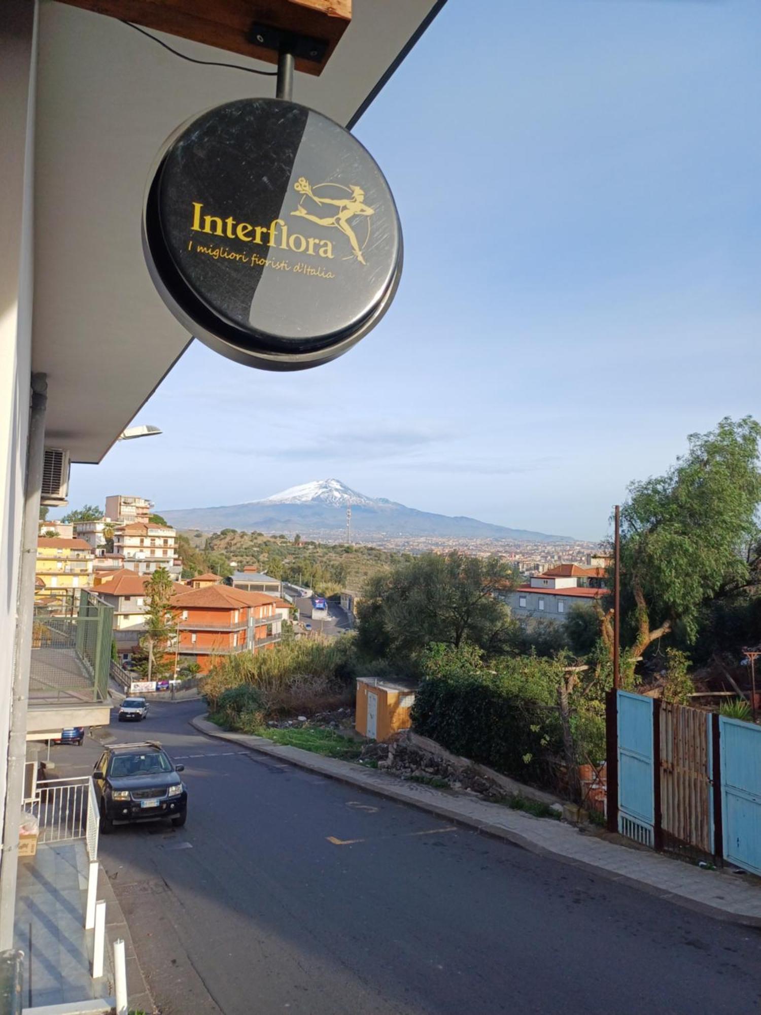 Dimora San Giorgio Catania Apartment ภายนอก รูปภาพ
